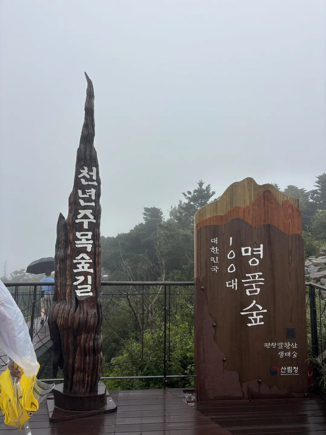 발왕산 관광케이블카 사진 12
