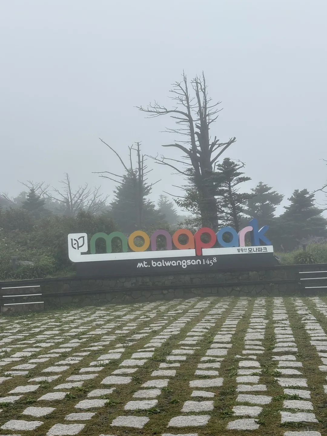 발왕산 관광케이블카 사진 11