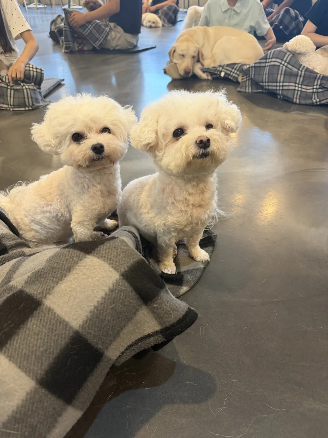 카페몽몽 사진 13