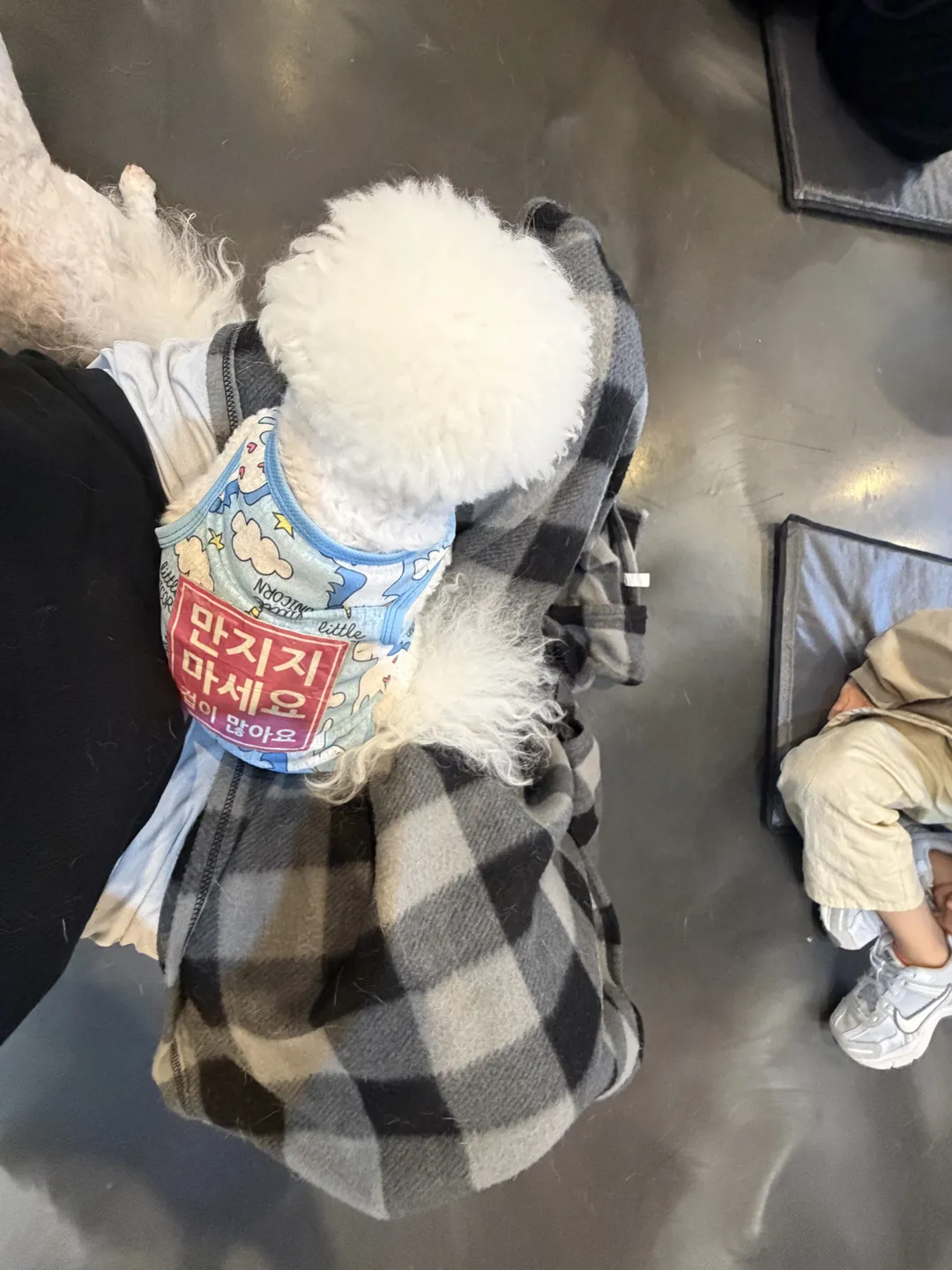 카페몽몽 사진 8