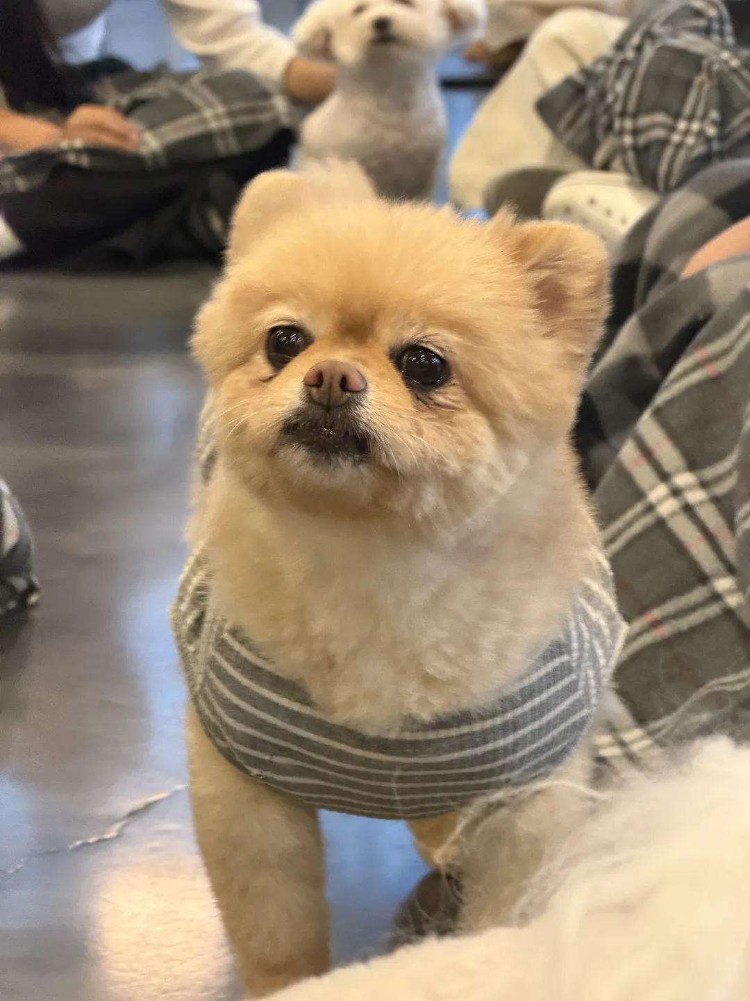 카페몽몽 사진 12
