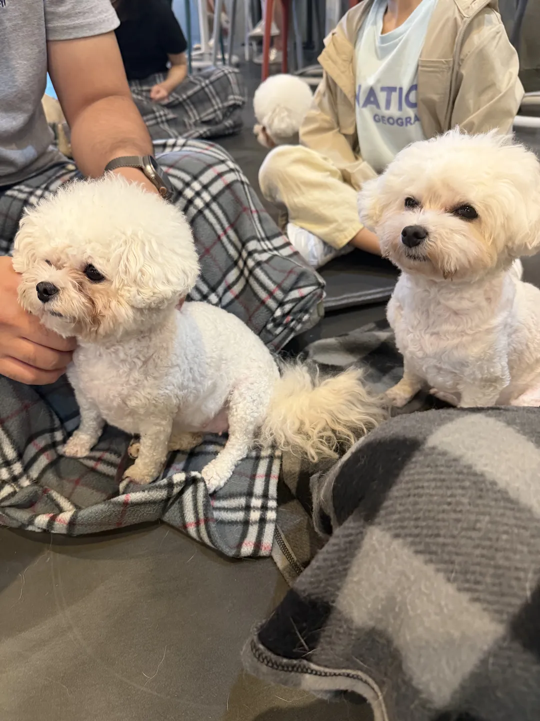 카페몽몽 사진 9