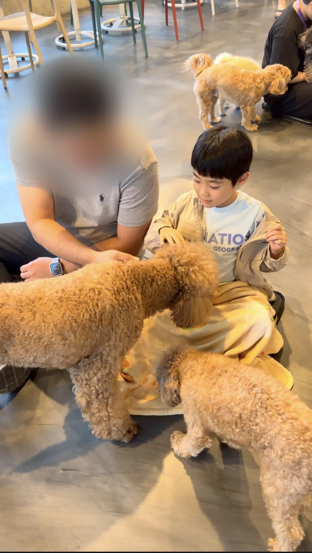 카페몽몽 사진 14
