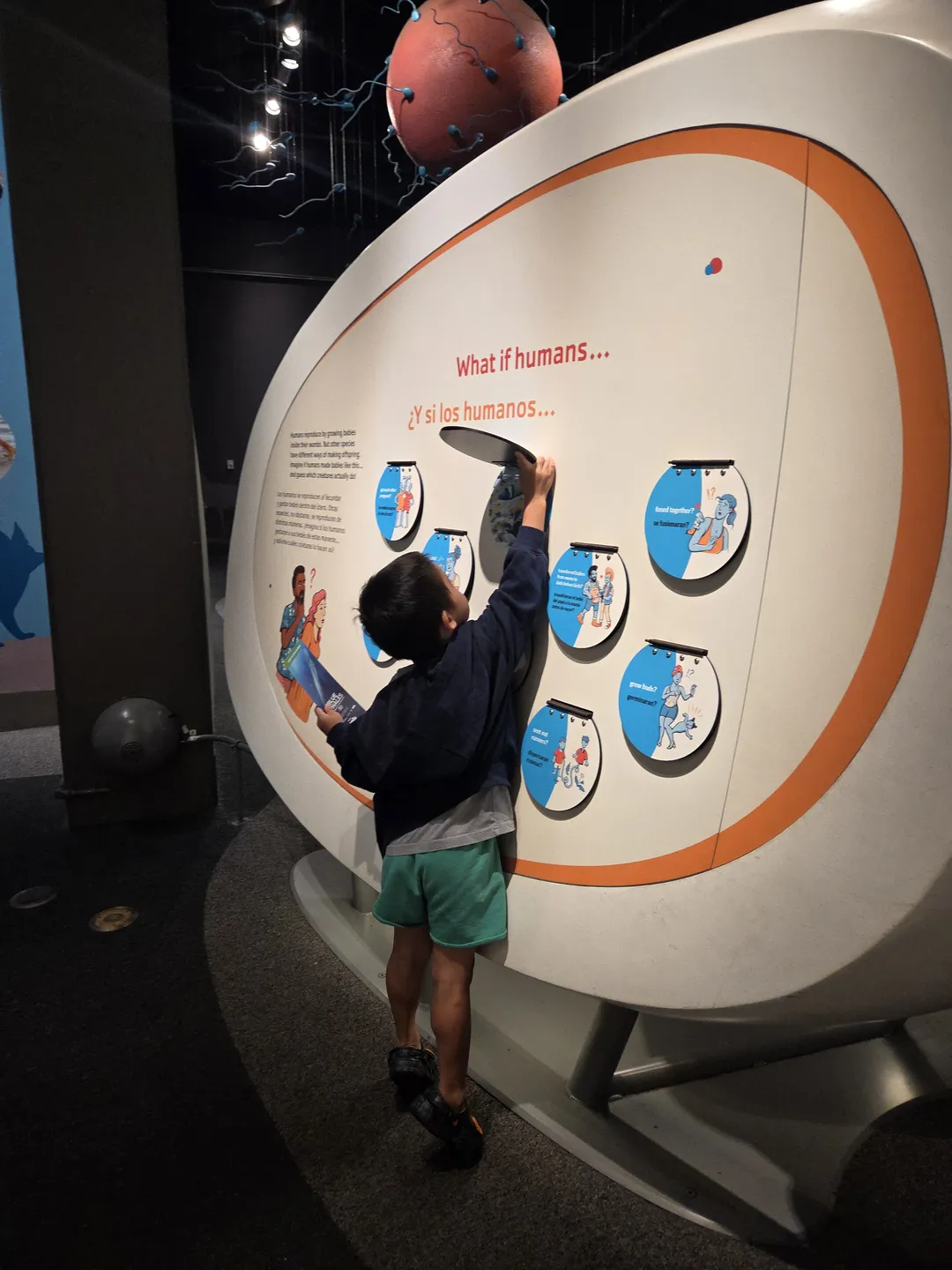 California Science Center
