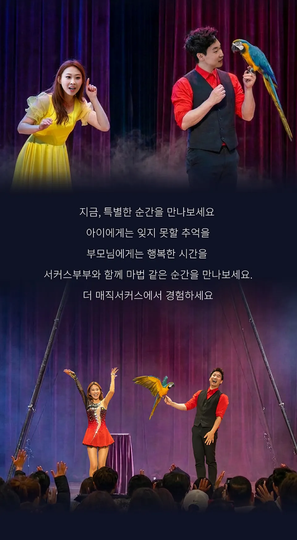 <공연> 더:매직서커스 - 파주 (26/11/15) 사진 9