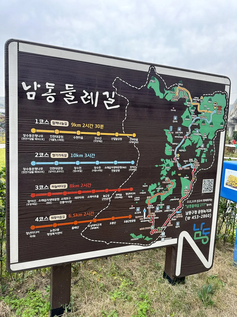 장수동 은행나무 사진 10