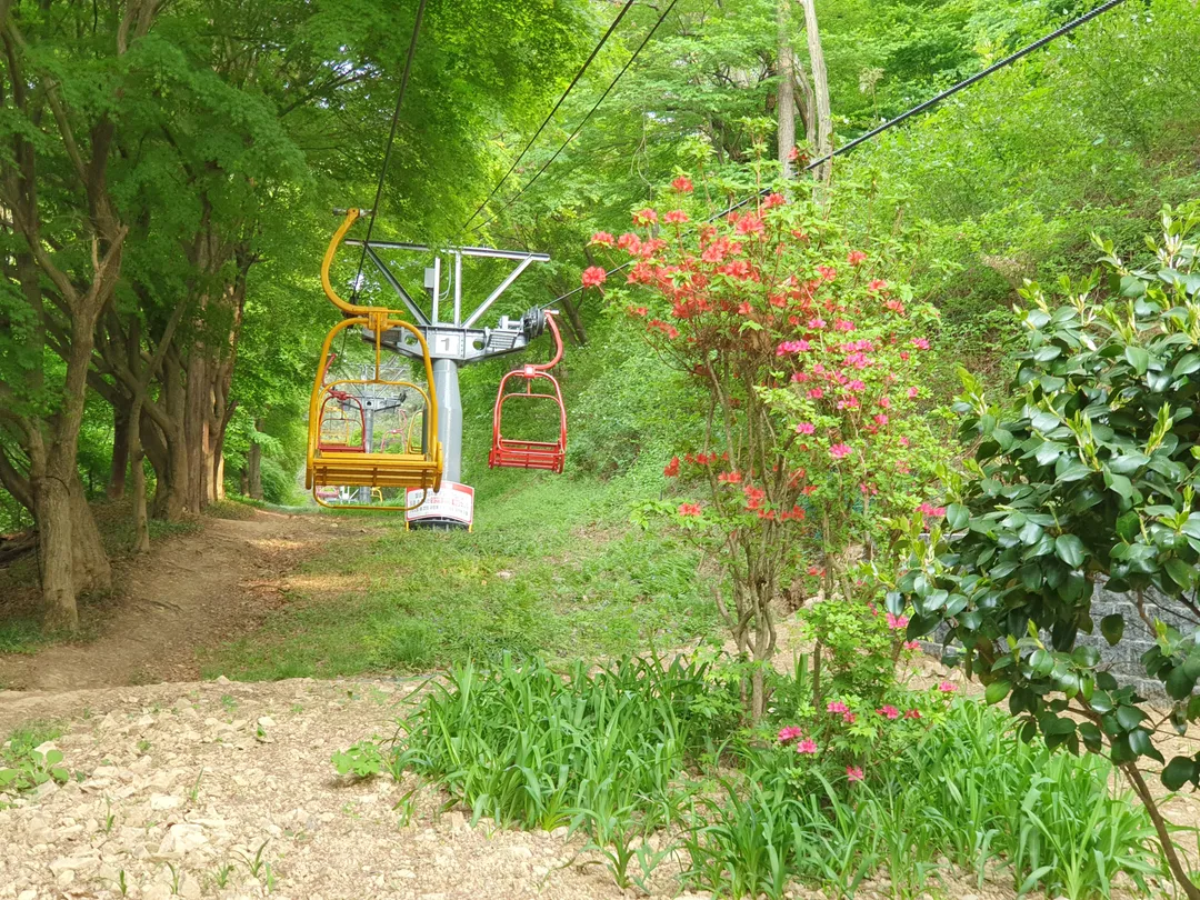 지산유원지 사진 7