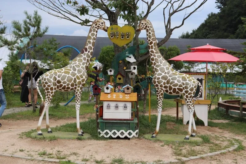 숲속에동물농장 사진 15