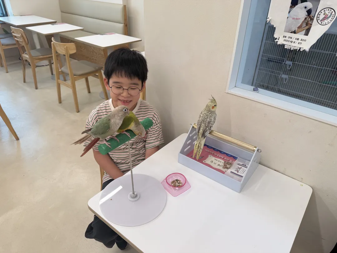 앵무새카페 버드리치
