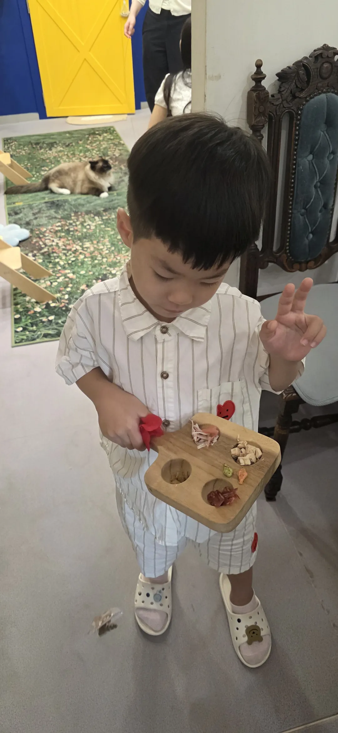 버만캣패밀리