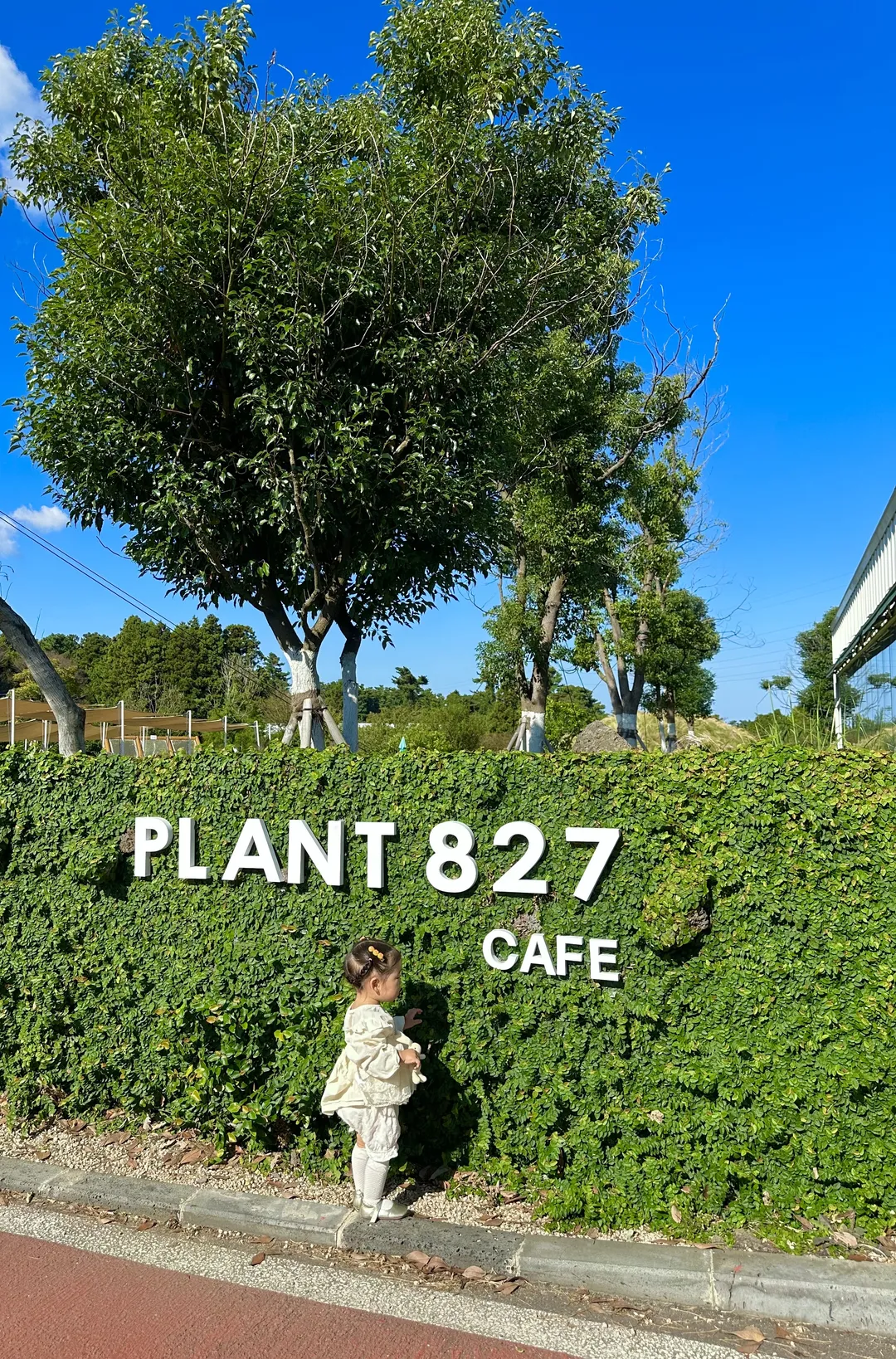 자연in PLANT827 사진 15