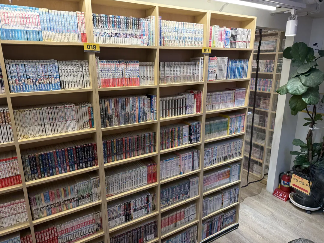 놀숲 신사가로수길점 사진 8