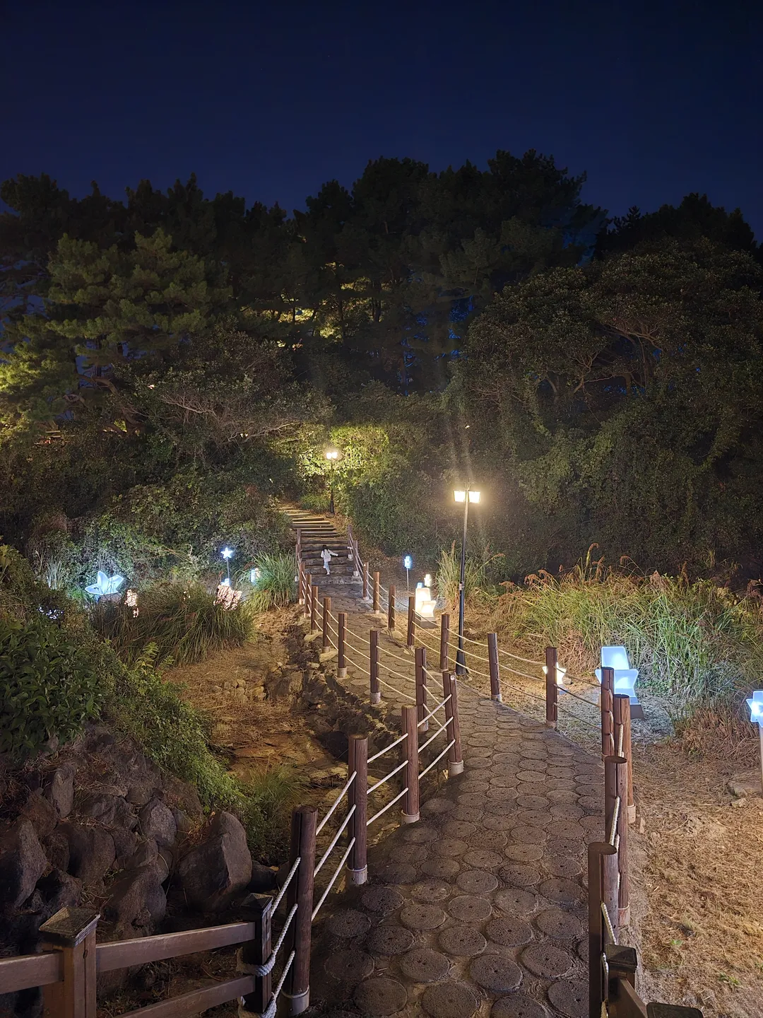 새섬공원 사진 11