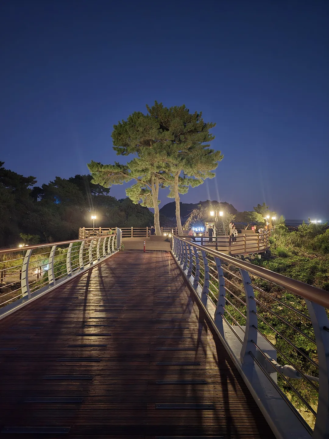 새섬공원 사진 8