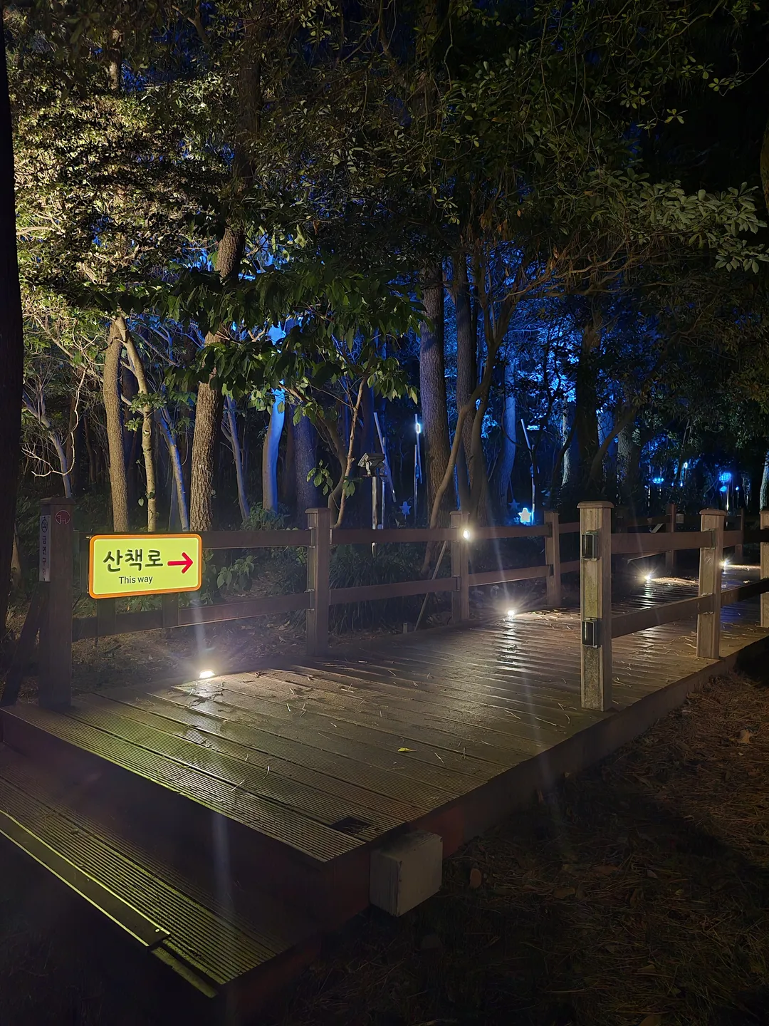 새섬공원 사진 14