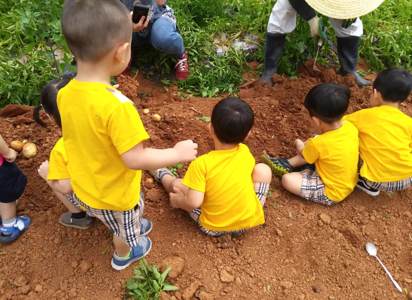 대추리평화마을