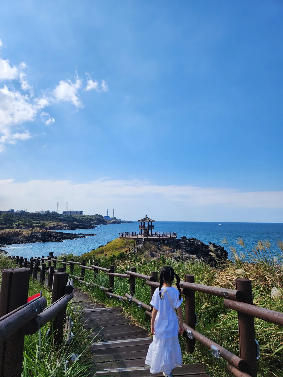 닭머르 사진 6