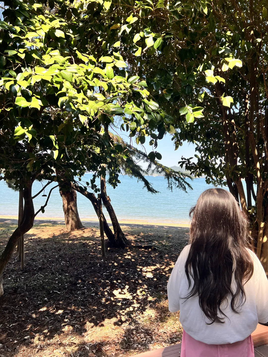 국립소록도병원 한센병박물관 사진 15