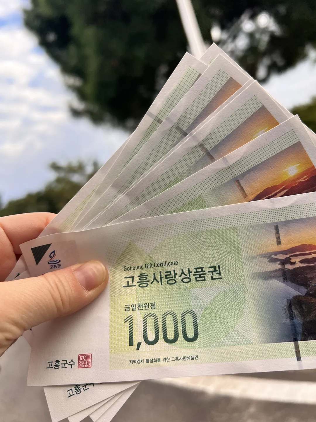 고흥우주천문과학관 사진 20