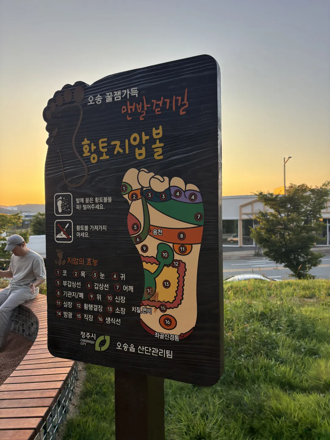 오송 꿀잼가득 맨발걷기길 사진 11
