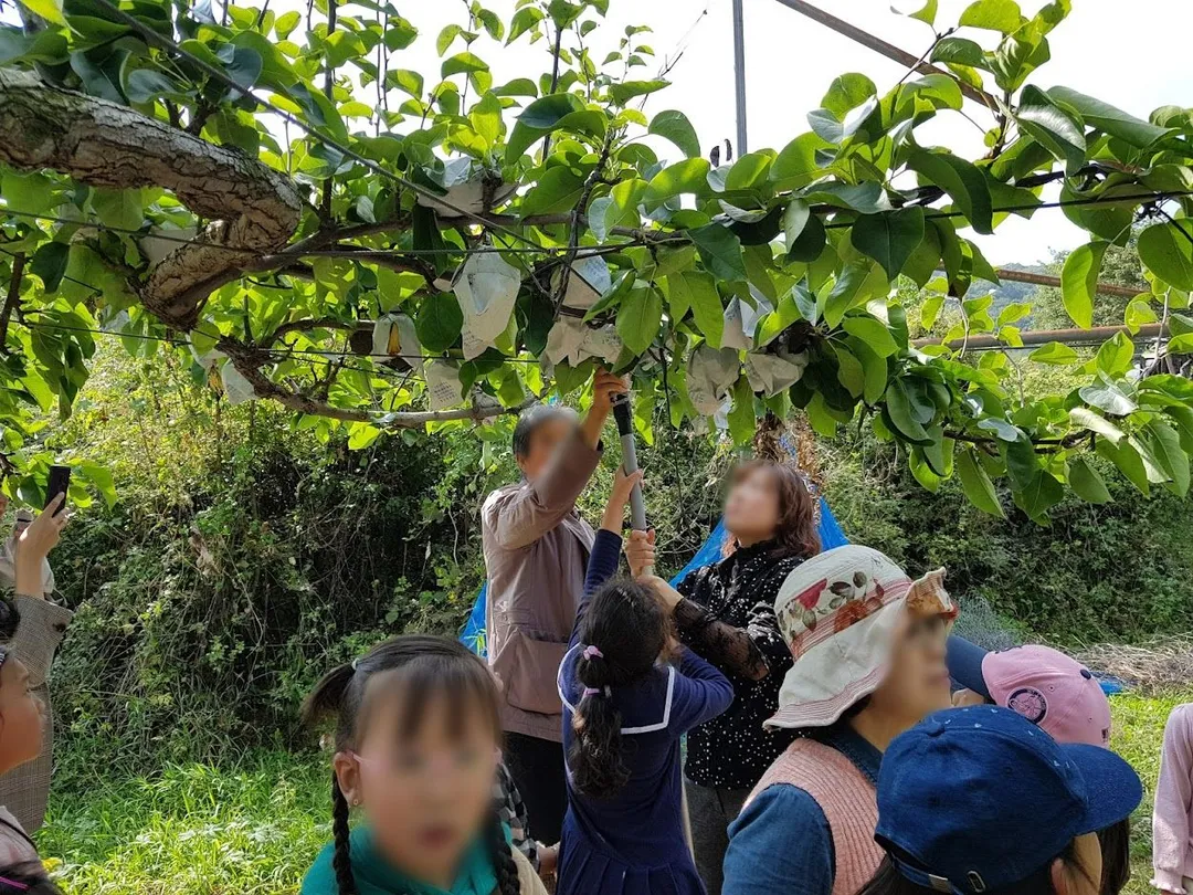 가루매마을