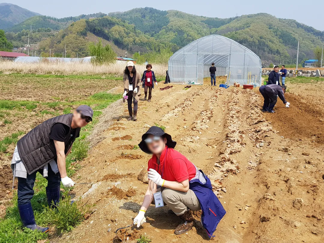 달콤한샘마을