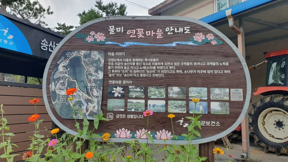 물미연꽃마을