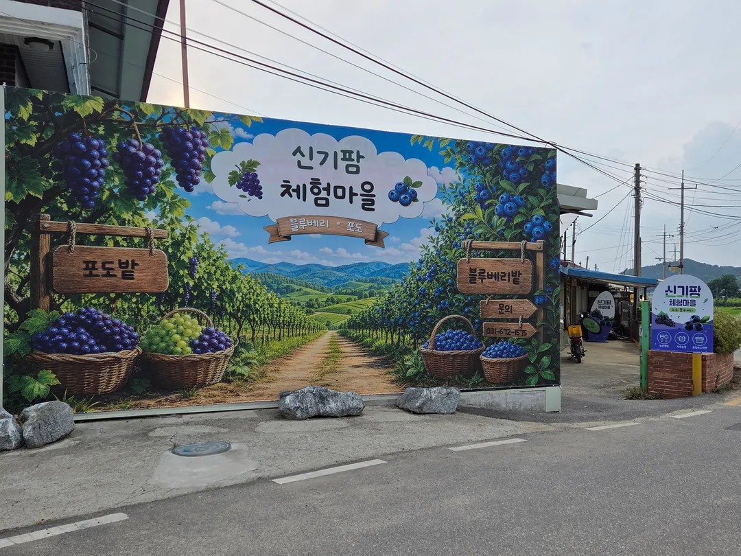 신기마을 사진 9