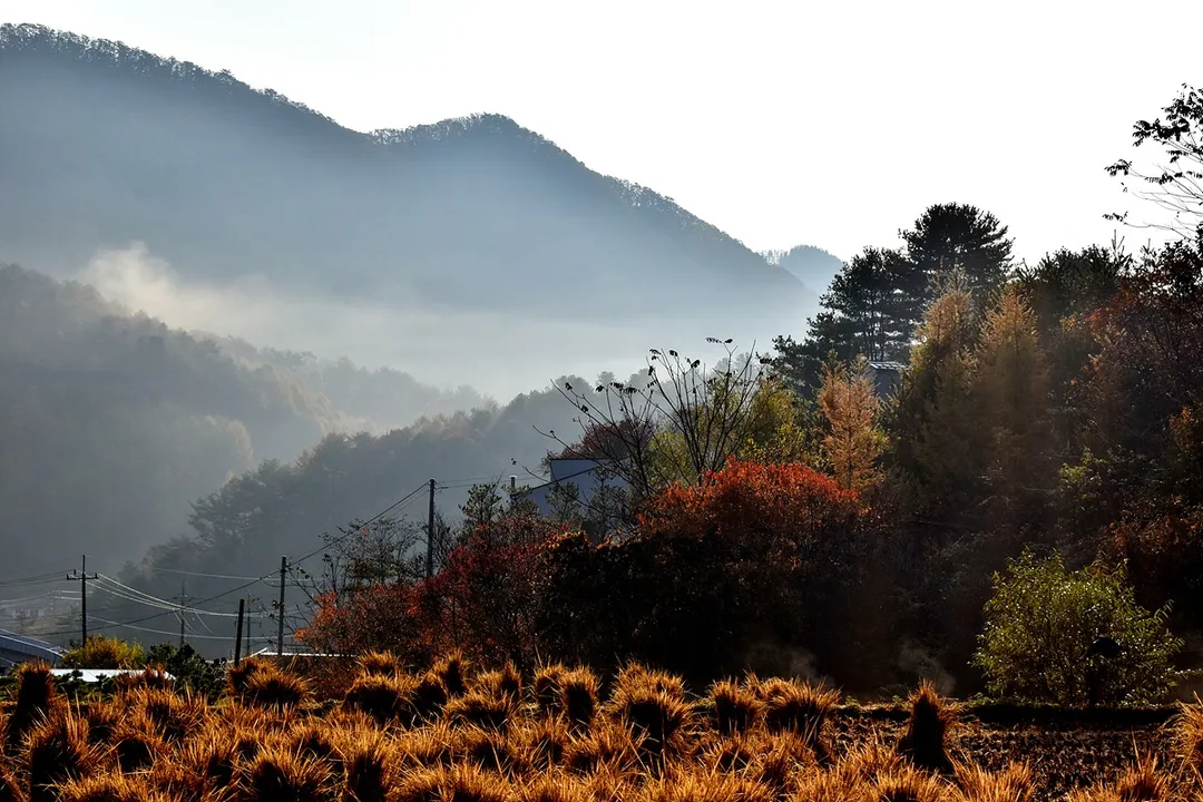 산음휴양림 달빛마을 사진 6