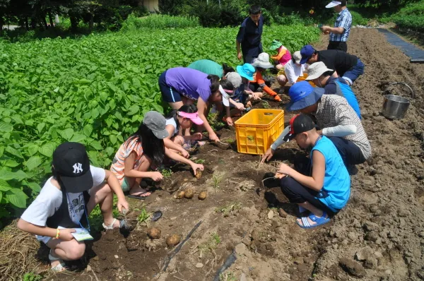 별바라기마을 사진 6