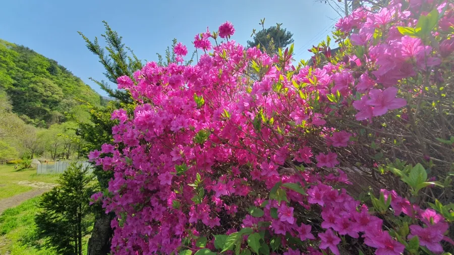 별바라기마을 사진 10