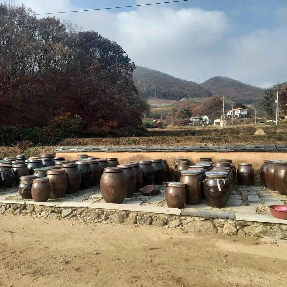 학일마을 사진 8