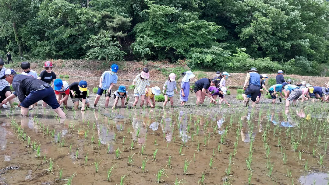 학일마을