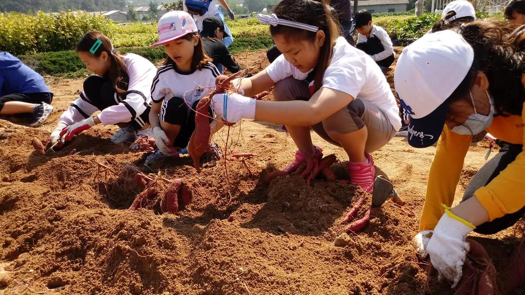 학일마을