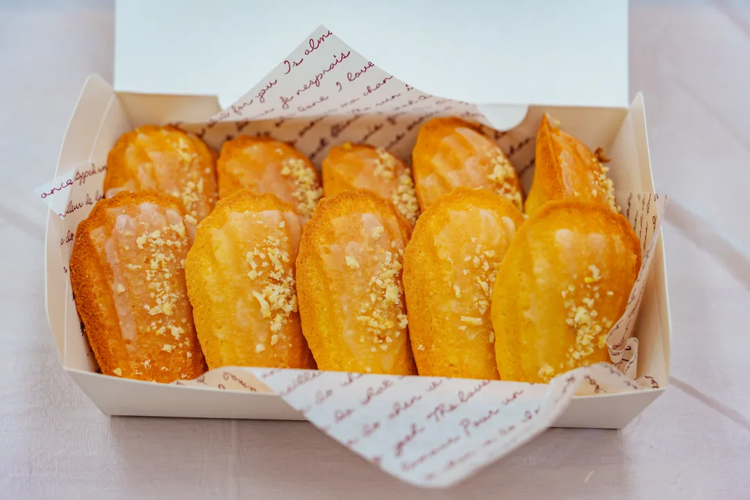 아침고요푸른마을 사진 6