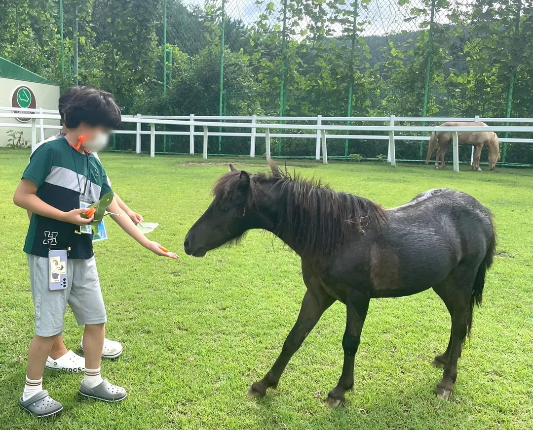 통영산들해마을