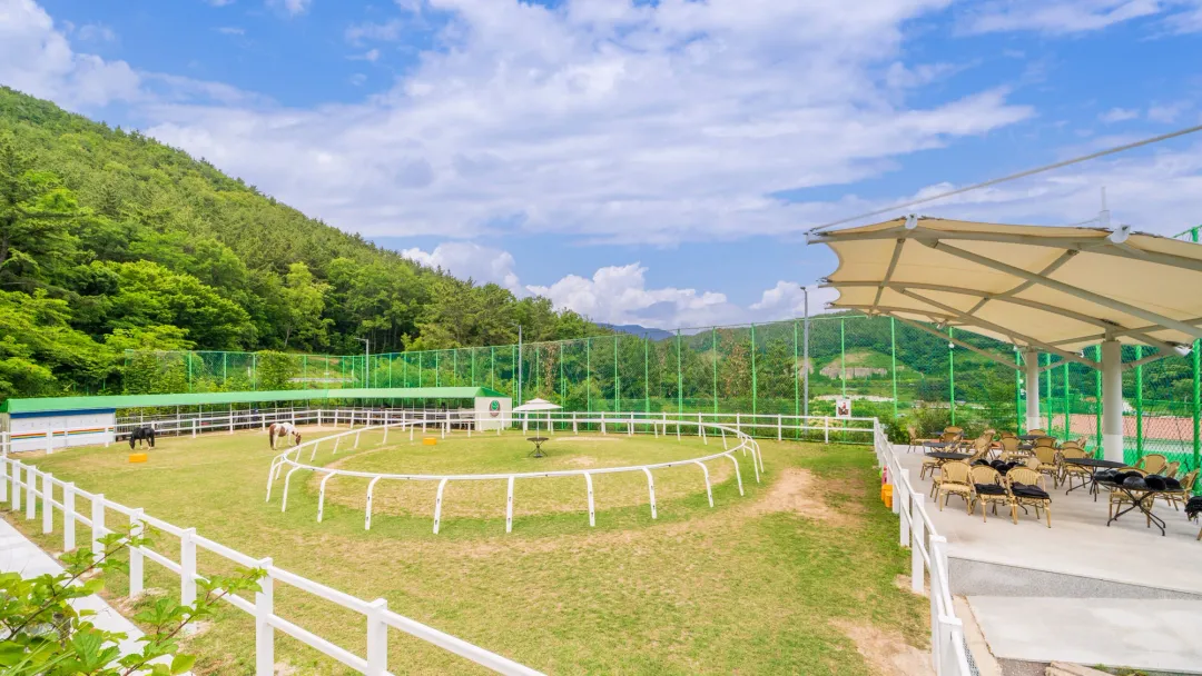 통영산들해마을 사진 6