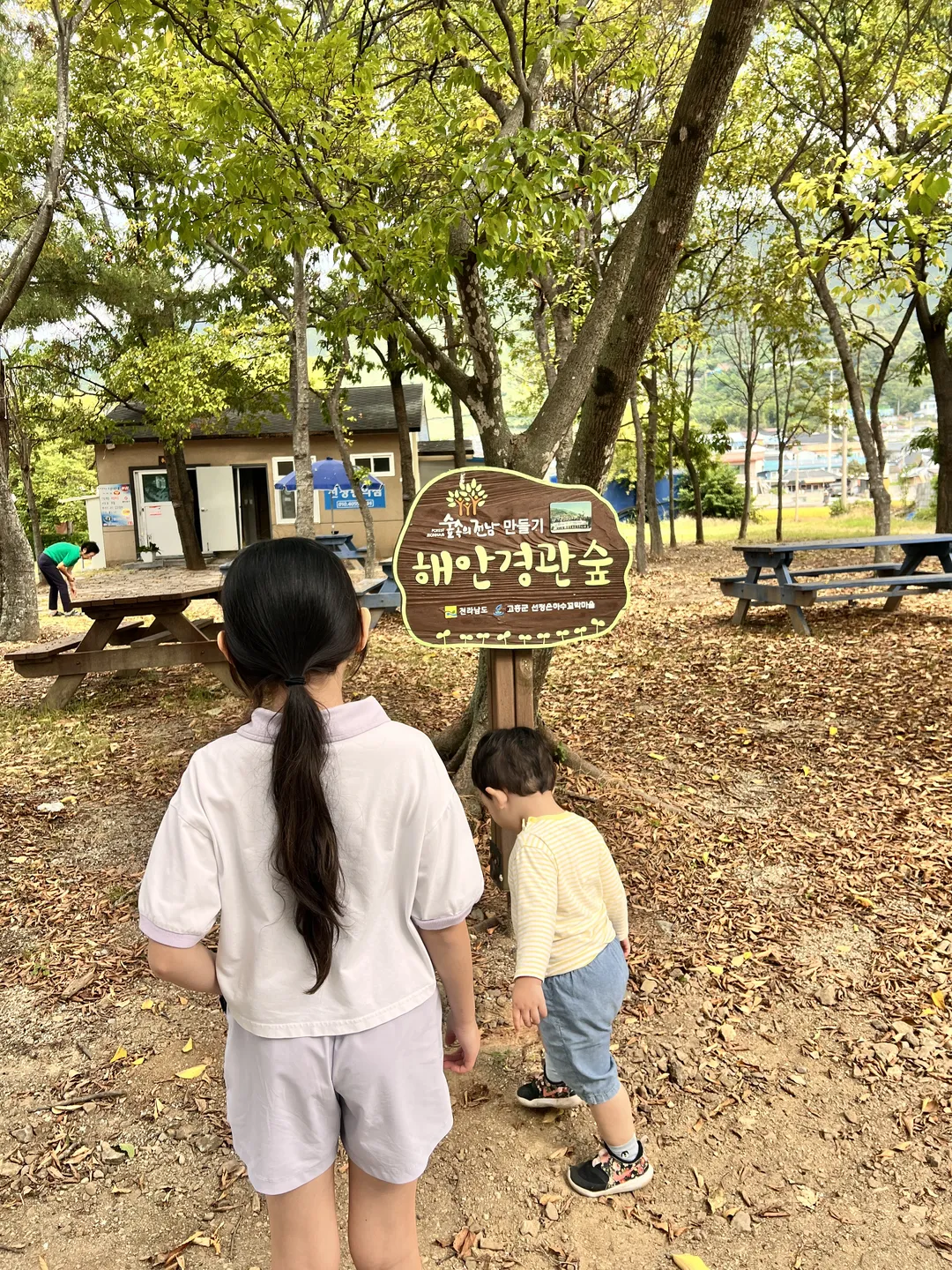 고흥월정리의해안방풍림 사진 7