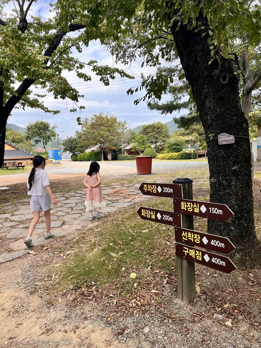 고흥월정리의해안방풍림 사진 8