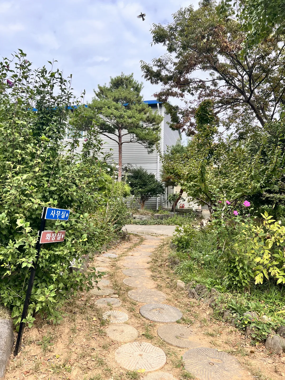 금세기정원 사진 8