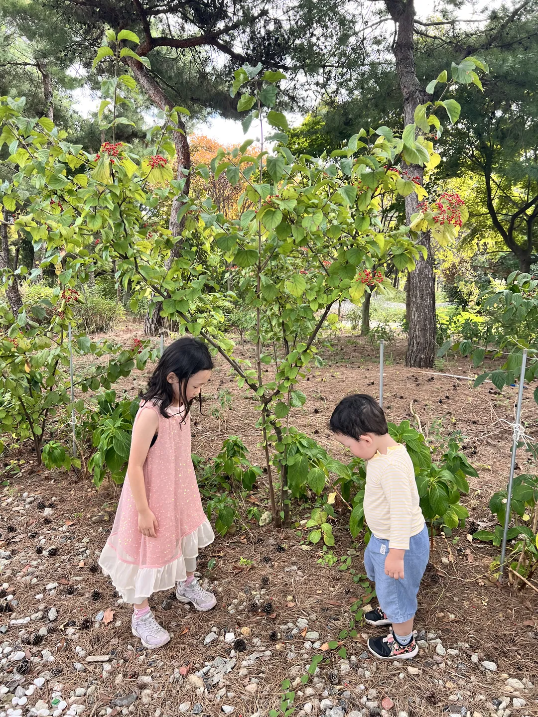 금세기정원 사진 14