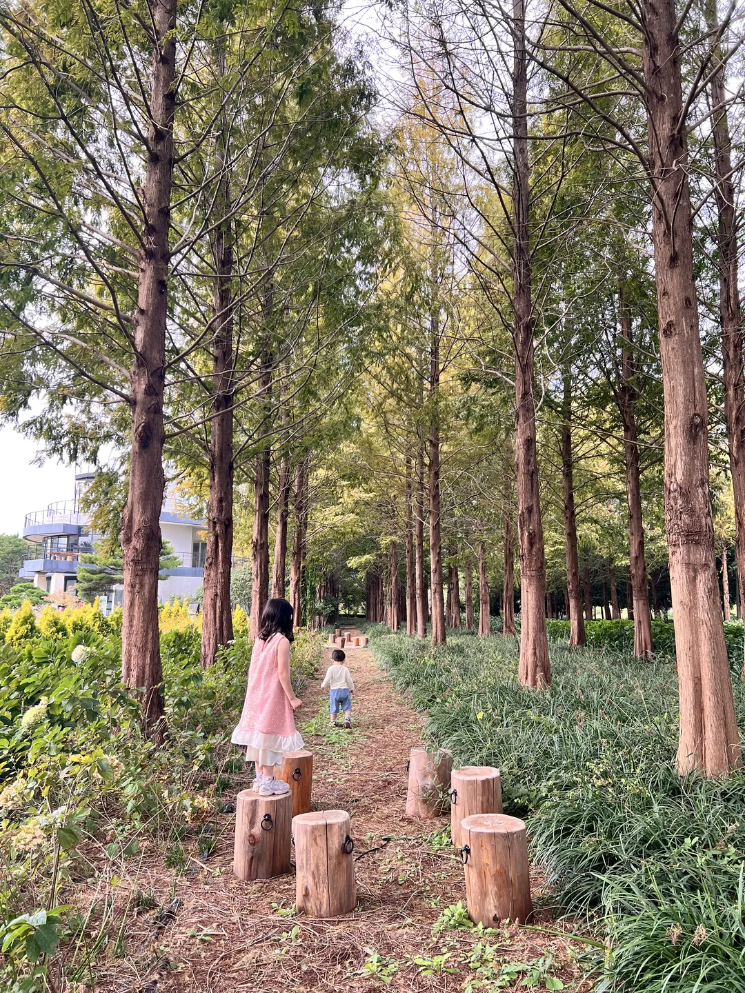 금세기정원 사진 9