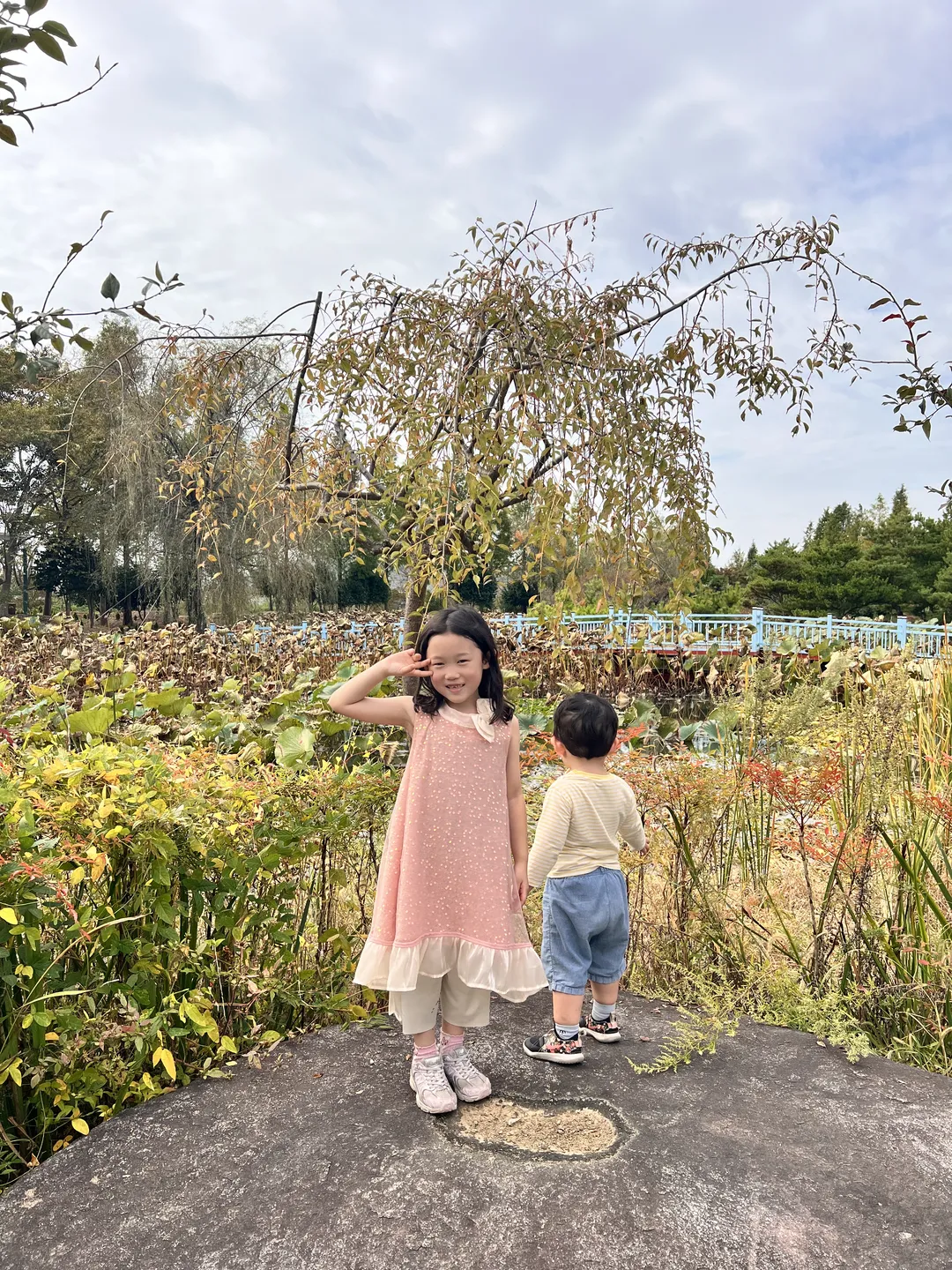 금세기정원 사진 12