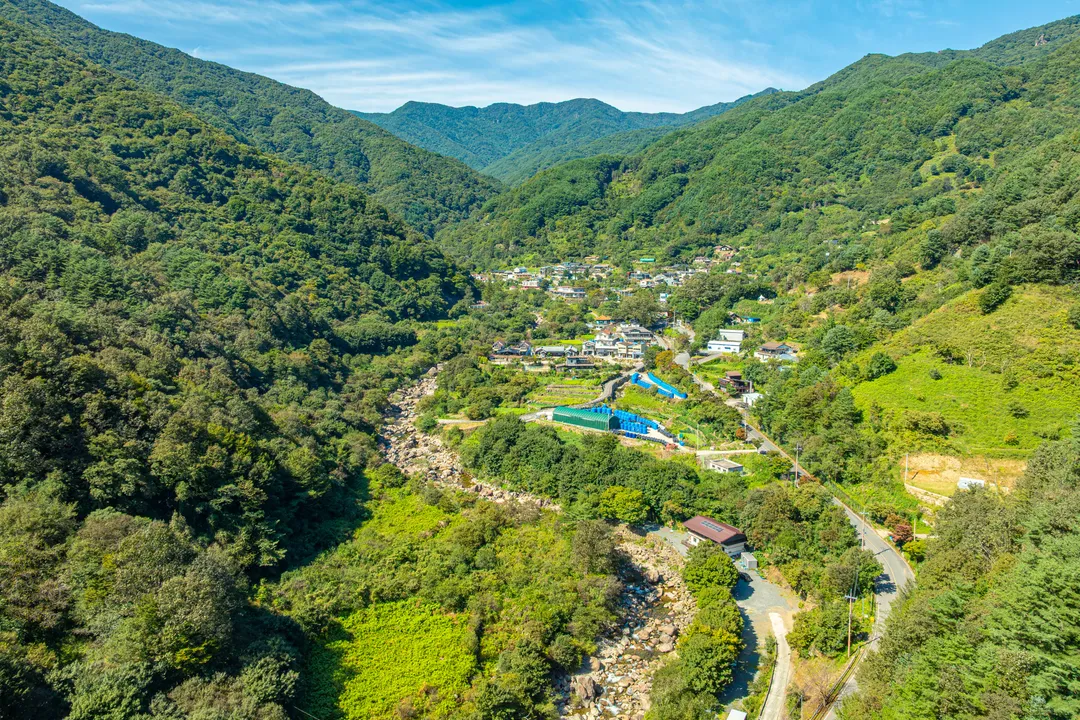 의신 베어빌리지 사진 8