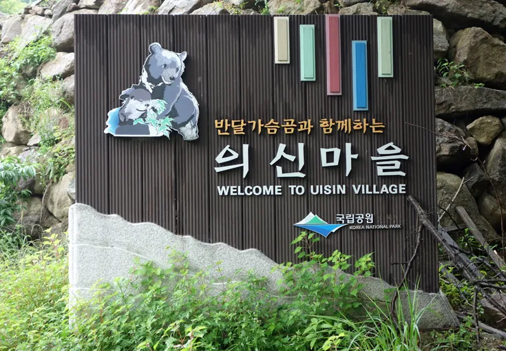 의신 베어빌리지 사진 7