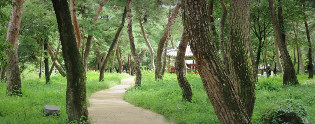 숲옛마을