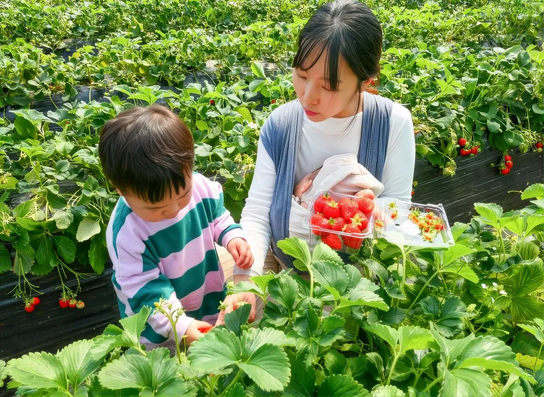 숲옛마을