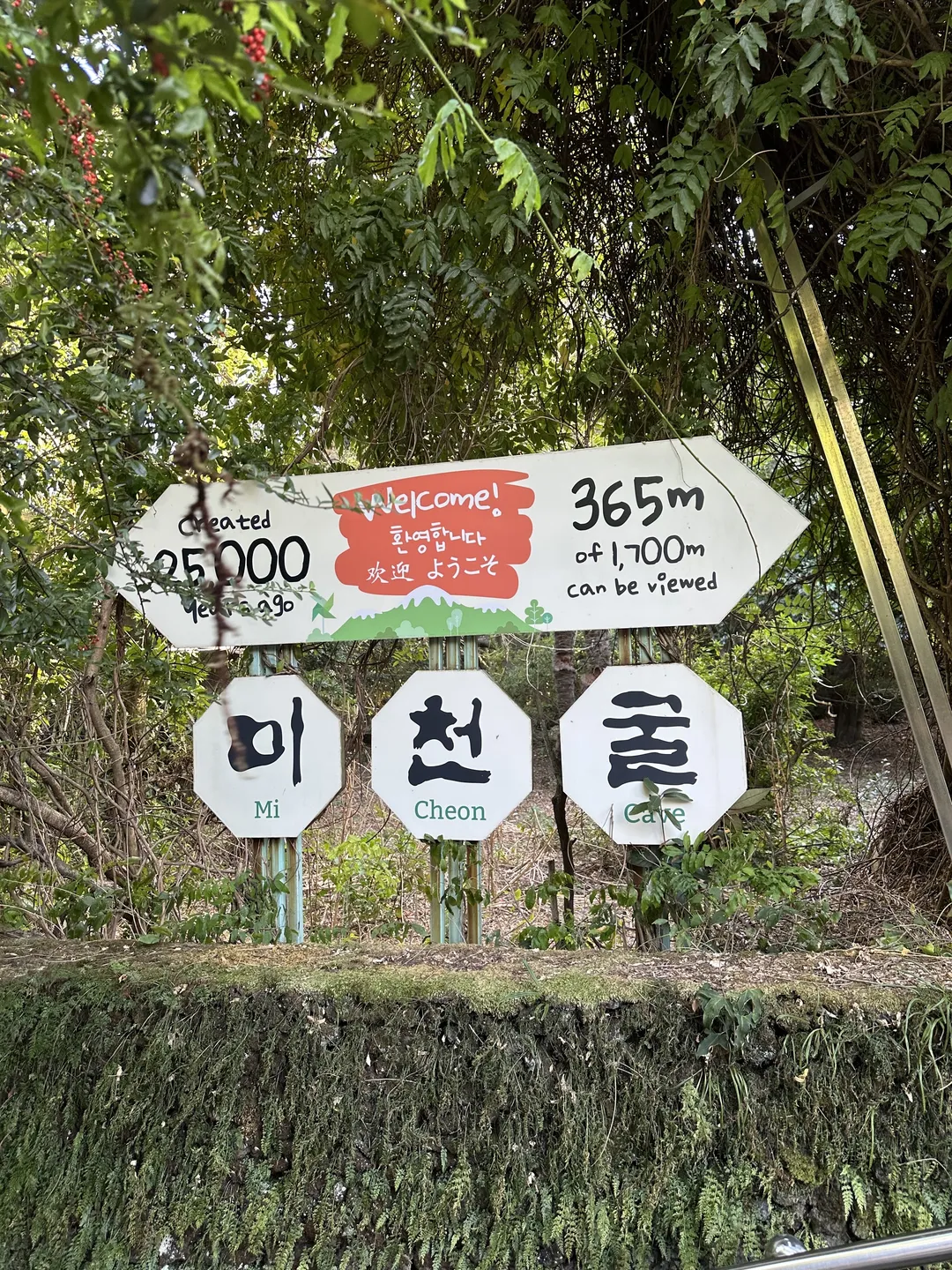 일출랜드 사진 9