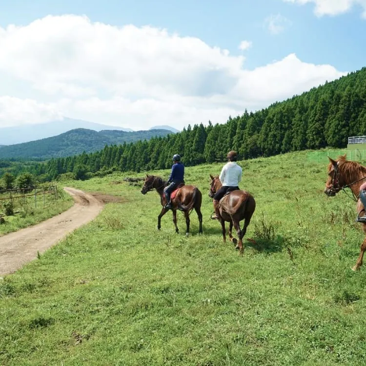 의귀리마을 사진 6