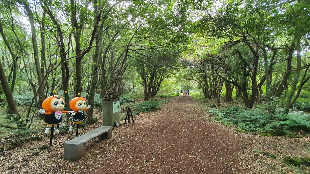 청수농촌체험휴양마을 사진 8